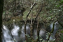 Rio Sarcidano - (IMG_3582)